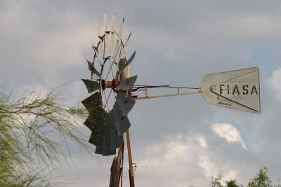 Facing-The-Wind