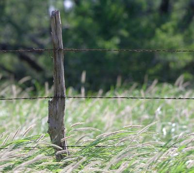 Finger-Post