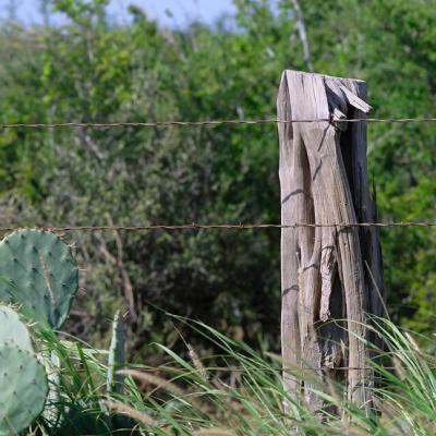 Pump-Handle-Post