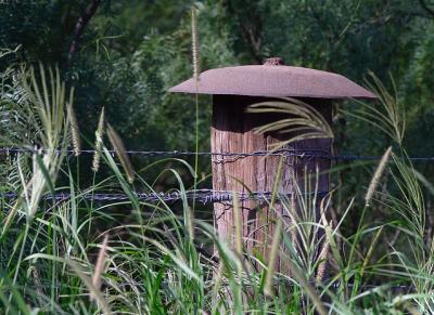 Oriental-Post