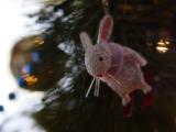 DSC04774.JPG