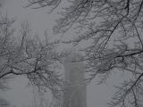 DSC05082.JPG
