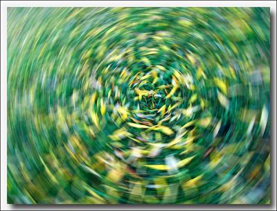 u13/jxsq/medium/41659362.IMG_0577r_small.jpg