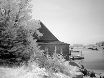 The Clam Factory II