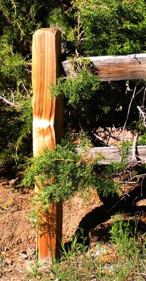F is for Fencepost