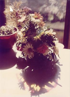u13/katybee/medium/41666968.flowers_orig.jpg