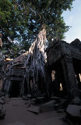 Preah_Khan_13.jpg