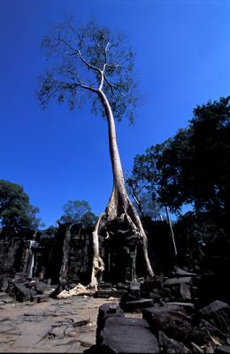 Preah_Khan_36.jpg
