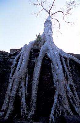 Preah_Khan_43.jpg