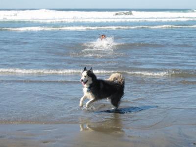 KeykoChantzintheOcean