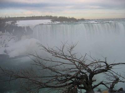 IMG_1900.jpg