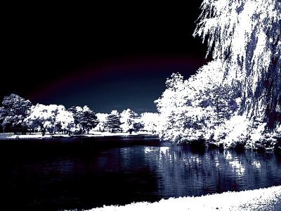 Experiment in Infrared color 3208