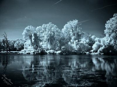 Reflections in Infrared