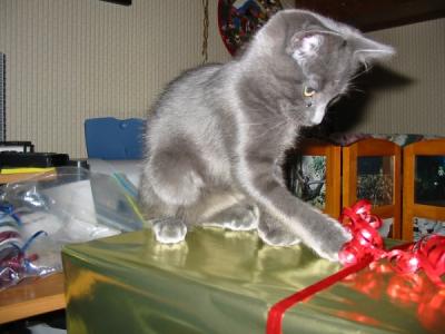 xmas2.JPG