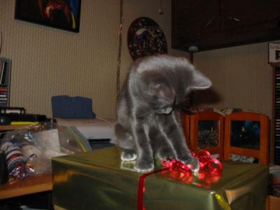 xmas3.JPG