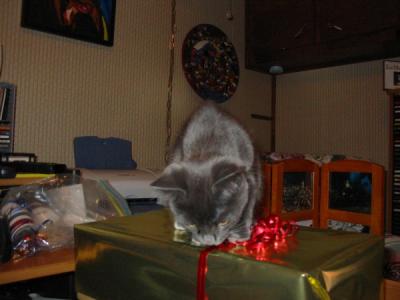 xmas4.JPG