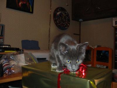 xmas5.JPG