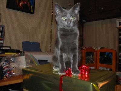 xmas7.JPG