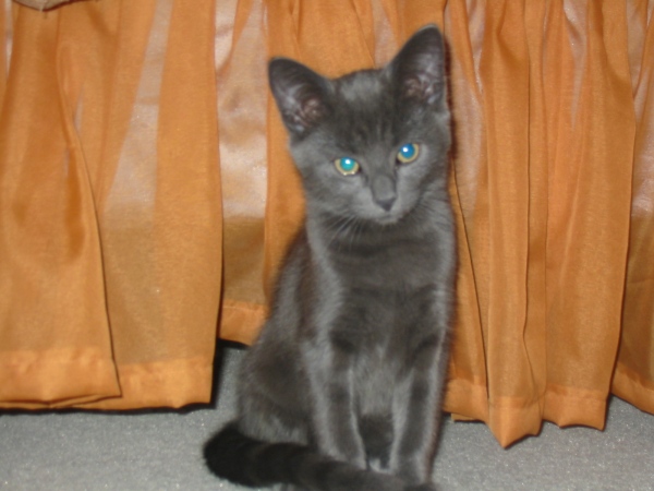 Sit up pretty for the camera