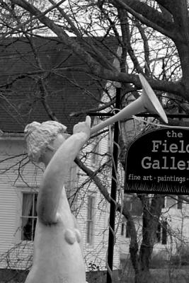 Field Gallery West Tisbury