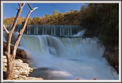 Desoto Park Falls Tree - IMG_0309.jpg