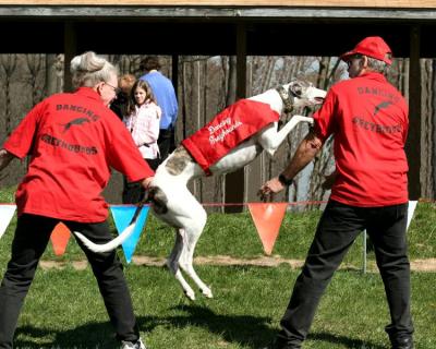Gilly Girls Dancing Greyhound Drill Team