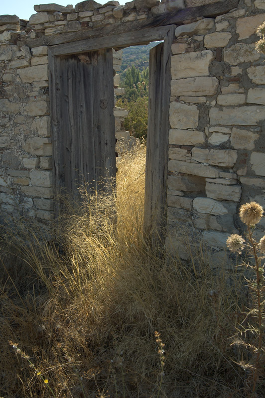 Doorway by Stephen Merauld