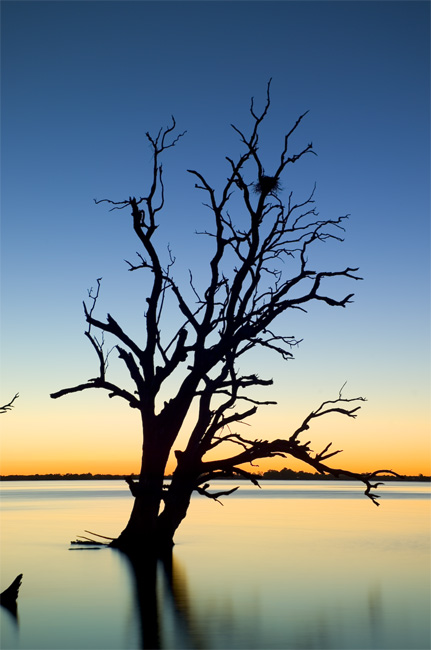 Dying Moments by Paul Rohal