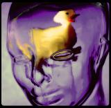 glass duck head.jpg