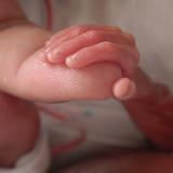 nicu baby hand.jpg