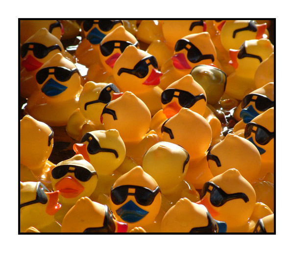 rubber ducks.jpg