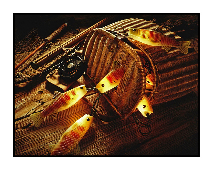 Creel Fish lights.jpg