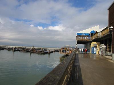 IMG_2954.jpg