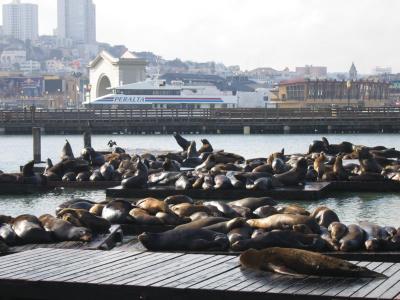san_francisco
