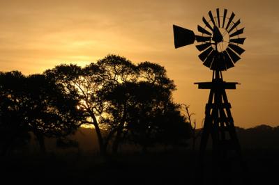 Windmill at Sunrise