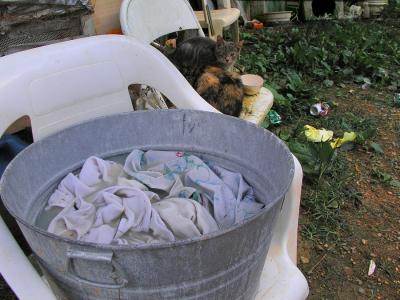 Wash Day