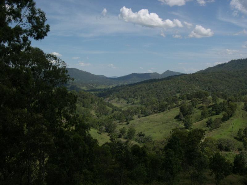 The Border Ranges-near Kyogle.