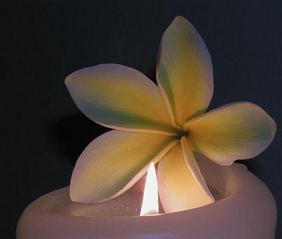 Close to the Flame