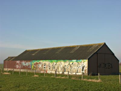 Graffiti in the Country