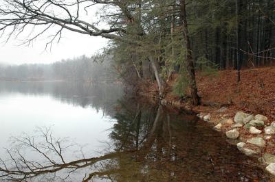 u13/lecook/medium/38629916.PEACEANDQUIET_0264.jpg