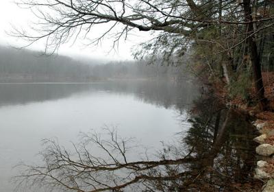 lake view