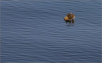 IMG_7435w.jpg