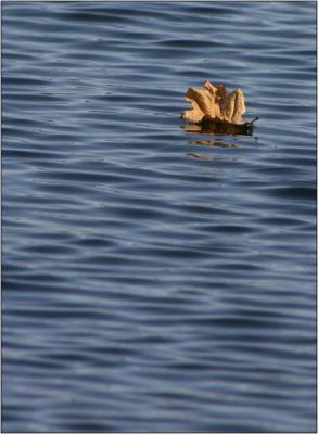 IMG_7443w.jpg