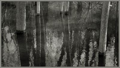 IMG_7471w.JPG