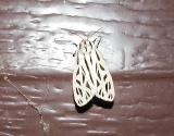 Arge Moth (Grammia arge)