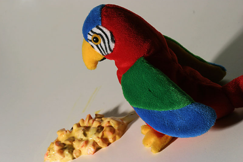 5th January 2005 - sick as a parrot!