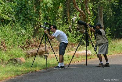 Ekimzulad, a fellow DPR member from the US, had fun shooting the Subic rainforest birds with his 20D and 400 5.6L.