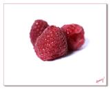 Raspberries