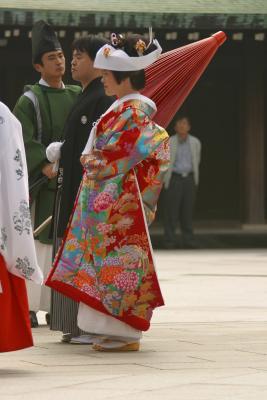 IMG_2479.JPG