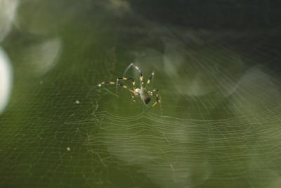 IMG_2489.JPG